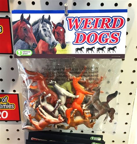 strange dog toys|hilarious dog toys.